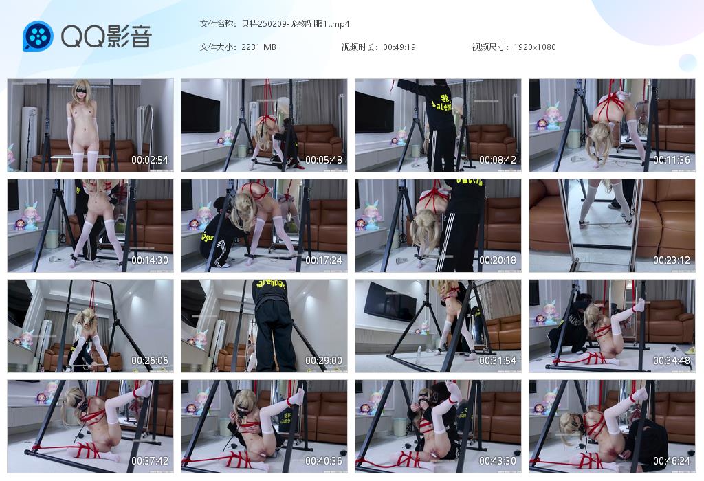【贝特】内部流出大尺度资源-宠物驯服1