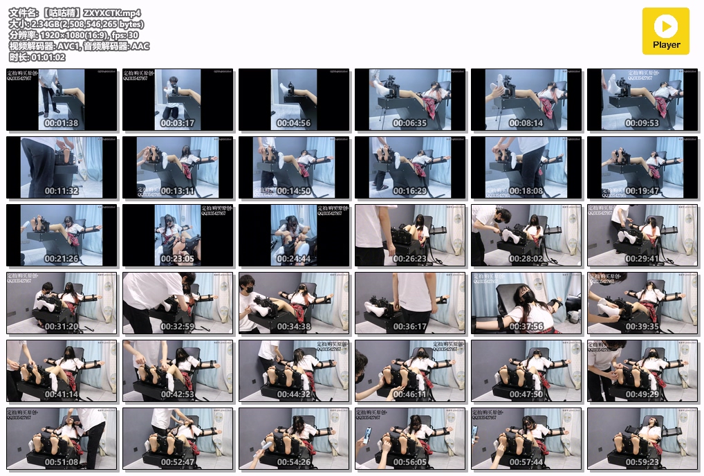 【咕咕精】ZXYXCTK